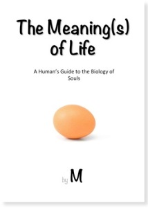 The Meaning(s) of Life: A Human's Guide to the Biology of Souls book cover